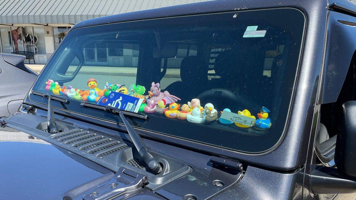 ‘Jeep ducking’ is a popular trend among Jeep owners around the world.