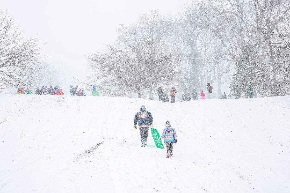 People sled in Cordelia Park in Charlotte, N.C., on Saturday, January 31, 2026.