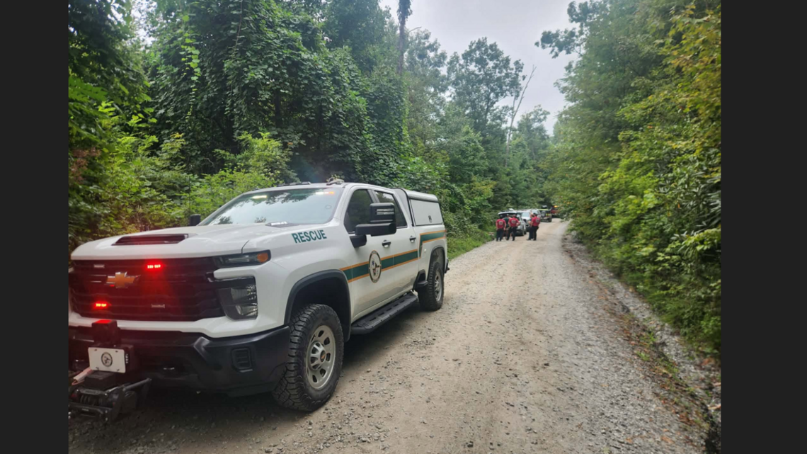 Hiker stung by wasps has ‘anaphylactic reaction’ in Linville Gorge, NC rescuers say