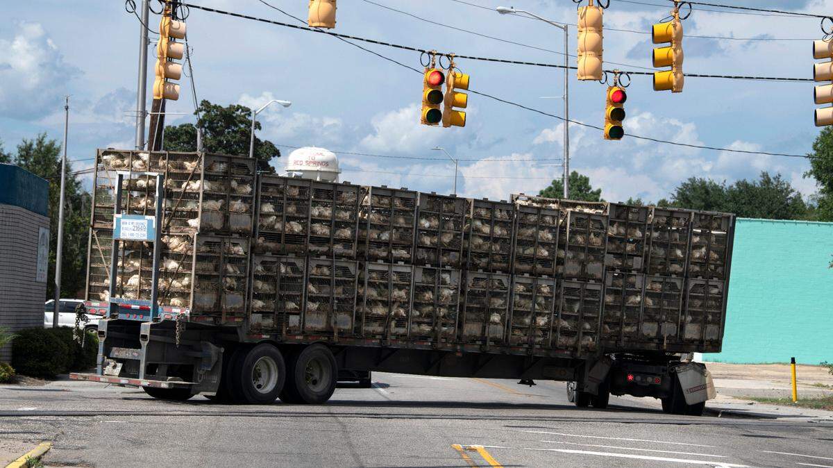 The legislation would allow commercial trucks to exceed the current legal weight limit of 80,000 pounds by 10%, for a total of 88,000 pounds, on roads other than interstate highways