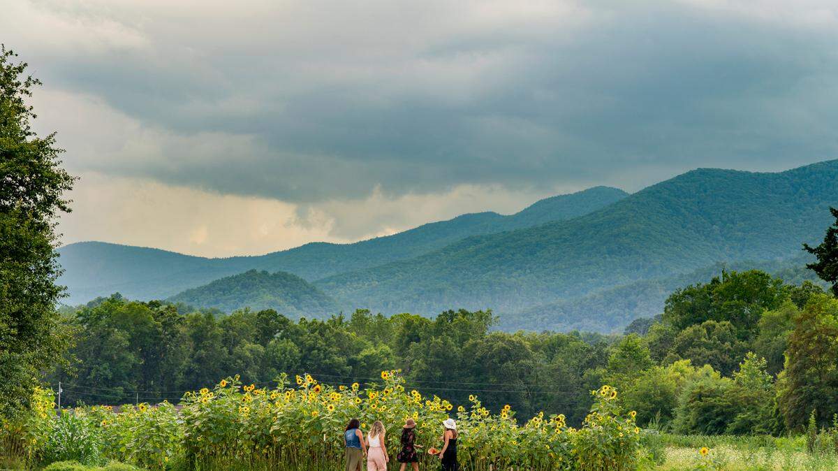 In Haywood County, see the Ten Acre Garden in Canton.