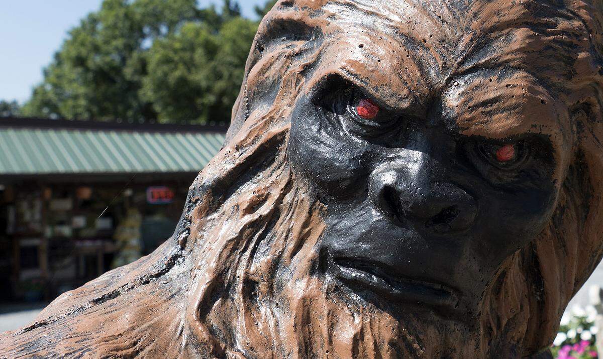 A Bigfoot statue is in a running pose in front of a produce/antique store in Biscoe, N.C., on Wednesday, July 19, 2017. The small town in southern-central North Carolina is part of Montgomery County, home of the five people charged in the shootings on Ocean Boulevard. The county is made mostly of the Uwharrie National Forest. Local lore claims Bigfoot has been sighted in the forest.