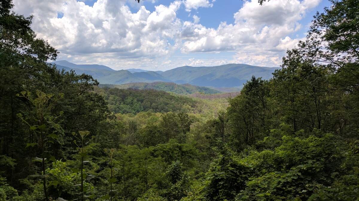 The Great Smoky Mountains ranked among the top 25 national parks by Travel + Leisure.