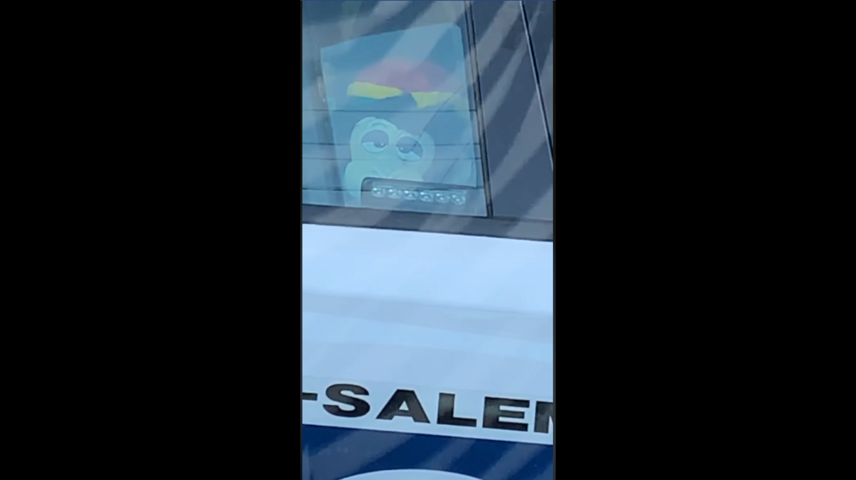 This is a scene from the video that showed a stuffed monkey with dreadlocks in the back of a Winston-Salem squad car.