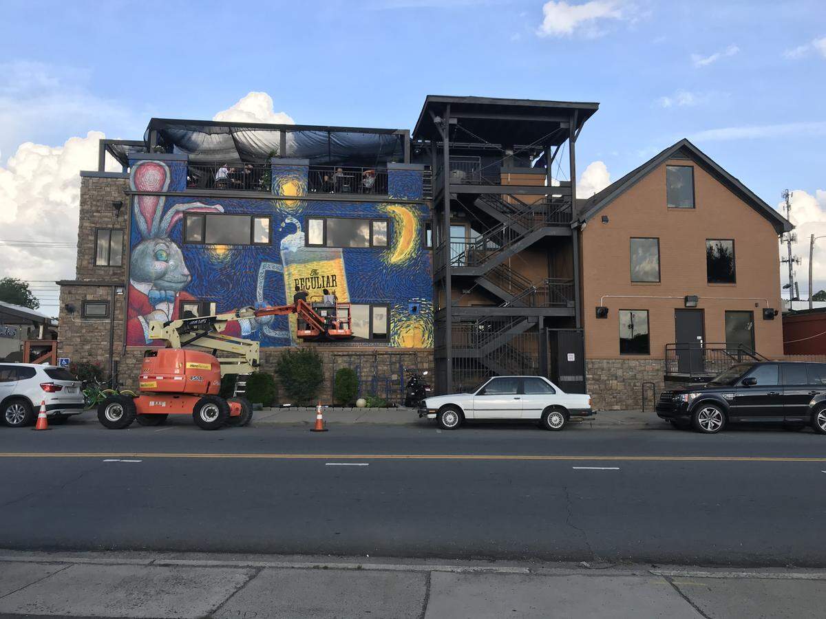 Peculiar Rabbit, shown here on May 19, 2018.