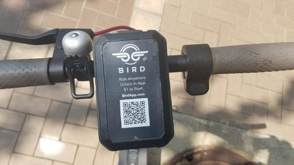 The controls for a Bird scooter, showing the QR code to unlock the scooter, the brake, a thumb-push accelerator and a bell to warn pedestrians.