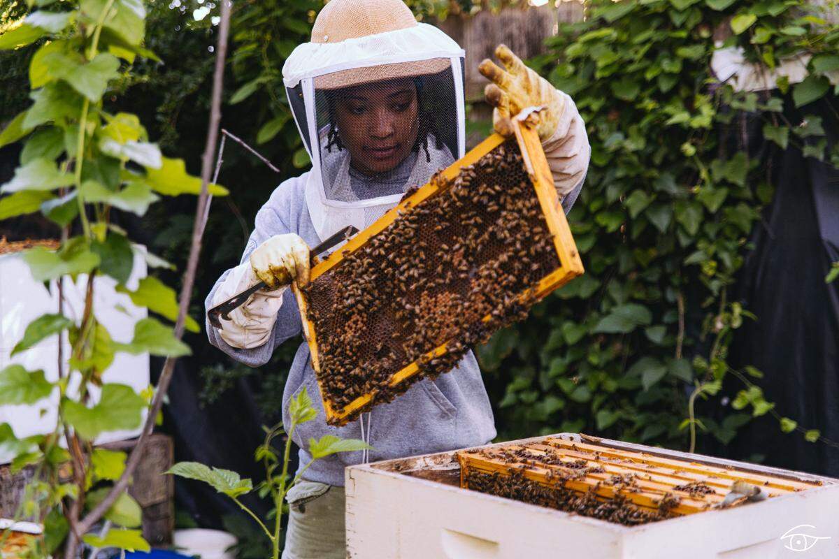 In 2017, Charlotte artist Janelle Dunlap established a bee farm at JCSU. She says the bees influence her art. “Beekeeping helps me take a better look at society, at humanity,” Dunlap said.