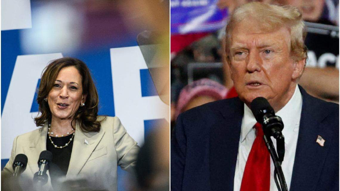 I’m seeing energized voters who know what they don’t want in NC | Opinion