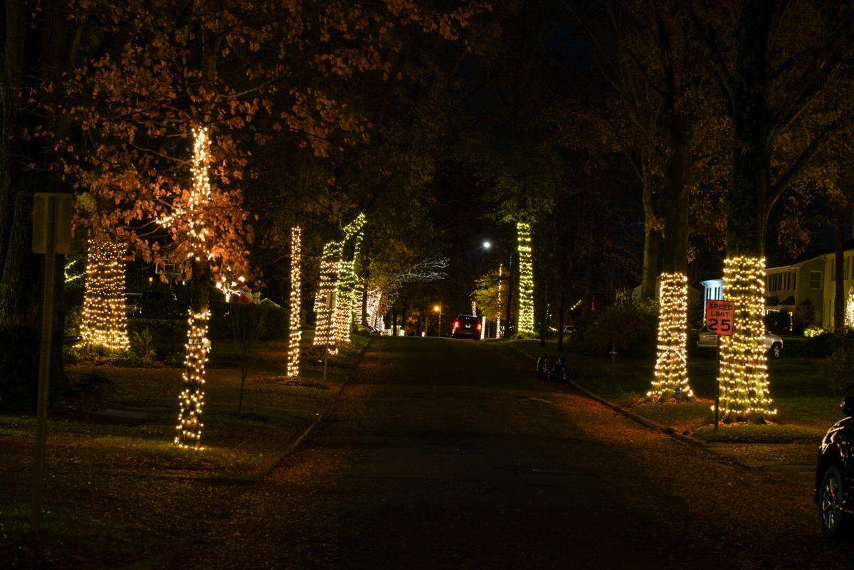 Take a drive down Hampton Avenue near Queens University for a festive tree-lined holiday experience.