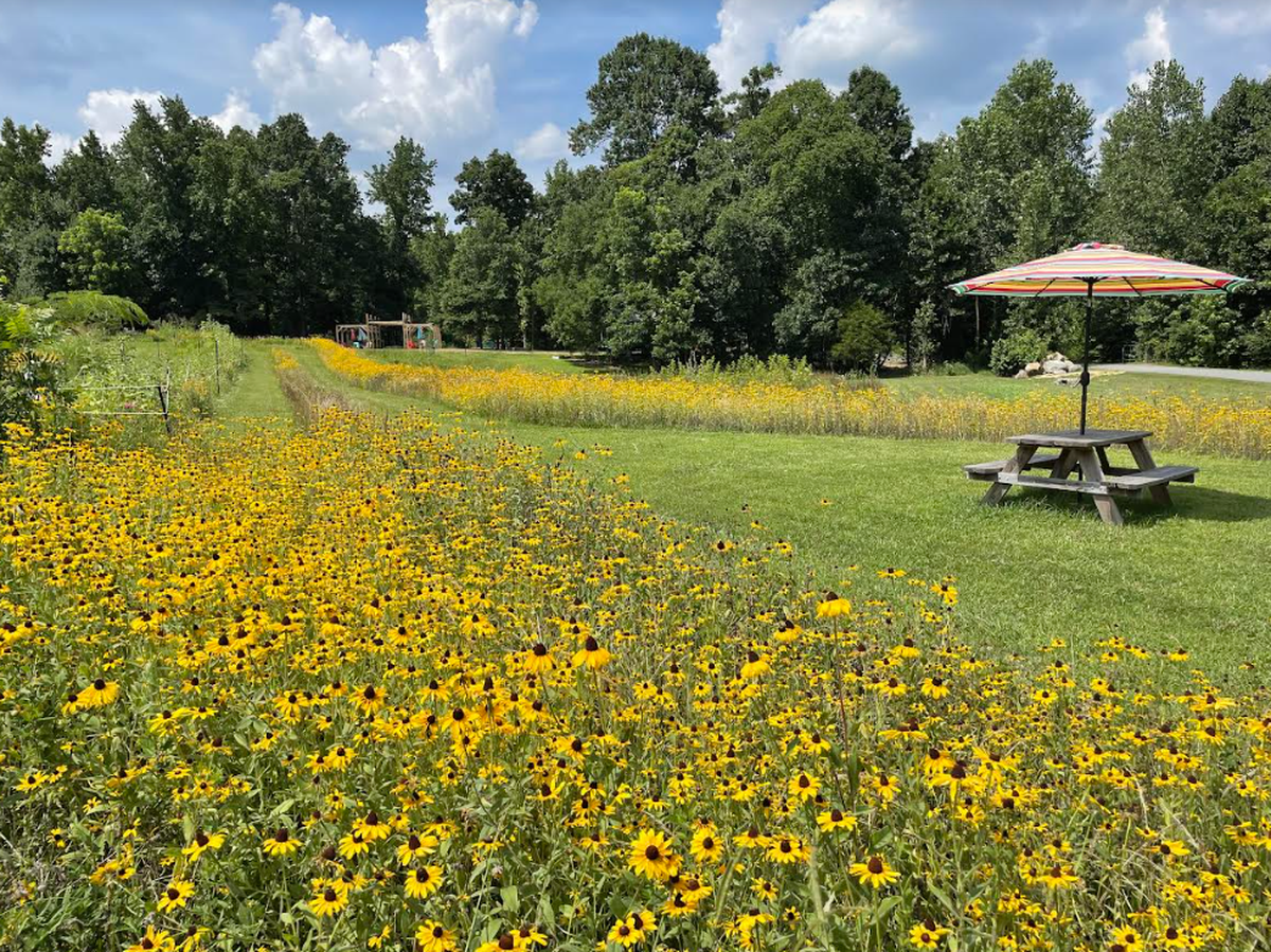 Flowers in bloom at McLawland Farms LLC.