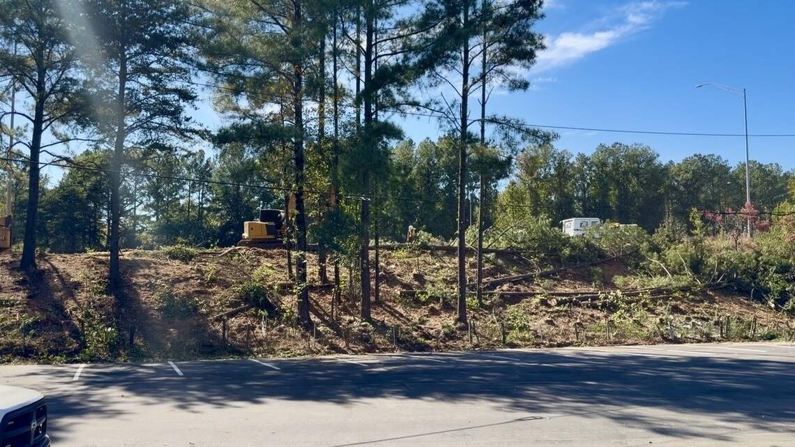 In 2 days, Plaza Midwood loses trees on Independence — all ‘for a singular billboard’