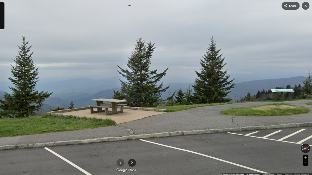 Two aggressive dogs have been reported by tourists at Waterrock Knob on the Blue Ridge Parkway in North Carolina, the National Park Service says.