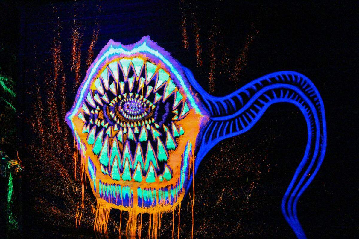 Wander the corn maze and Haunted Trail at Scarrigan Farms.