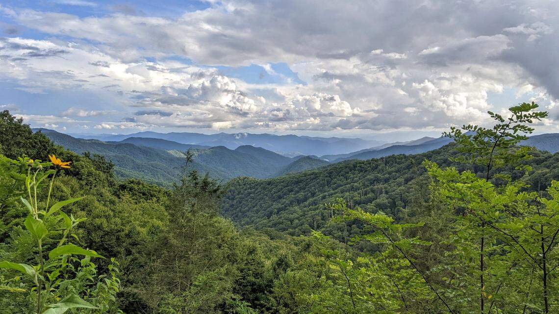 Two hikers in Great Smoky Mountains National Park resorted throwing rocks and sticks when bear spray proved useless against a bear stalking them on the trail, according to the National Park Service.