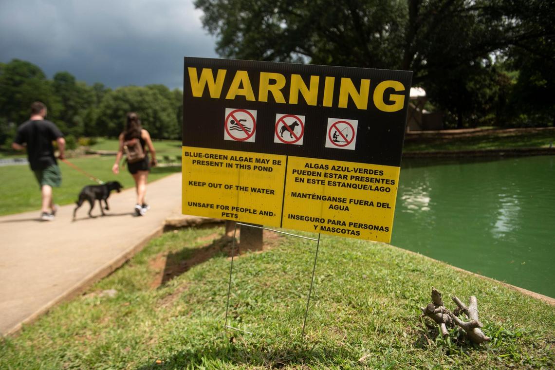 Park-goers walk their dog past the waterfront sign warning visitors of toxic blue-green algae that has appeared in the waters at Freedom Park in Charlotte, N.C., on Wednesday, July 29, 2020.