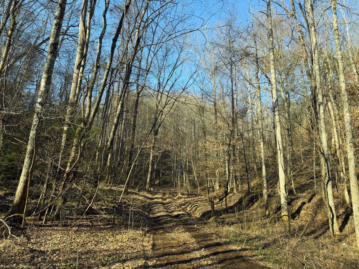Known as the “Oliver Tract” the property includes intact forest, ridgelines, and headwaters for streams that contribute to The Little River, which is itself a tourist attraction in the region.