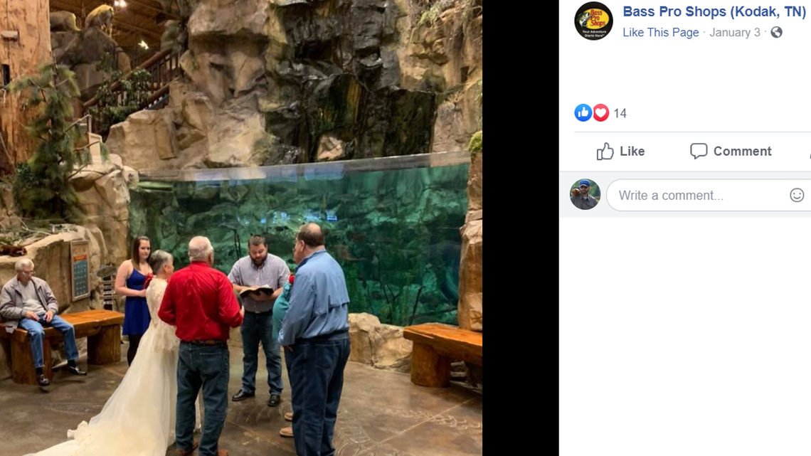 A couple in Tennessee got married Friday at a Bass Pro Shops, exchanging their vows near a store aquarium stocked with local trophy fish.