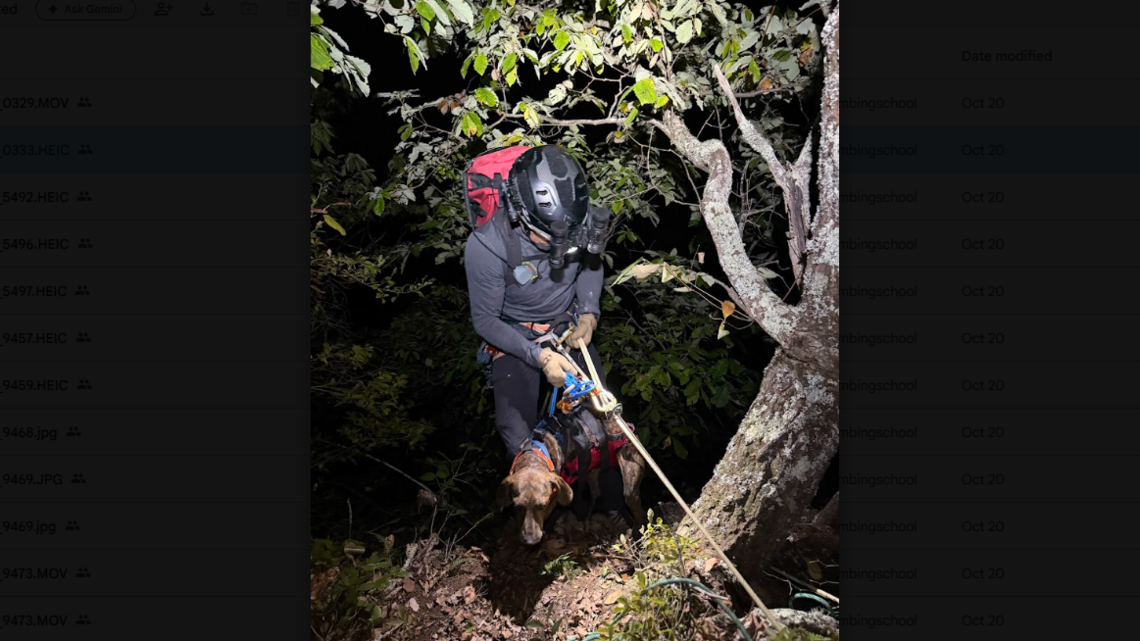 Dog trapped 3 days on 200-foot cliff is reached by climbers, NC rescuers say