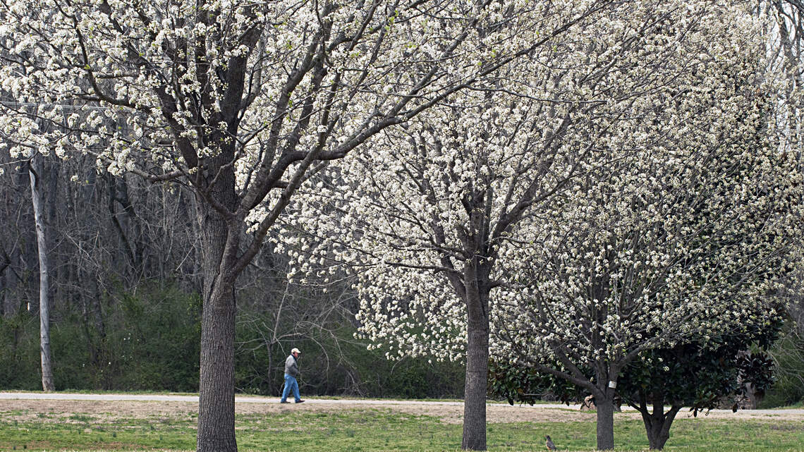 Charlotte park still closed 18 months after lead found. When will it reopen?