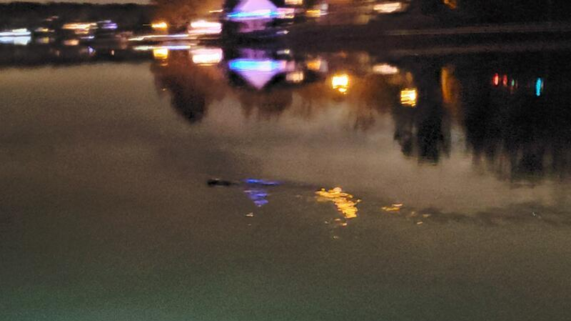 Legends of a monster snake in the Catawba River date back for centuries, and some cited proof of it in a grainy photo posted taken over the weekend at Sunset Point picnic area on Lake Wylie.