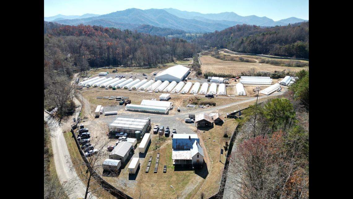Shown is the Eastern Band of Cherokee Indians’ medical marijuana growing operation in Cherokee, NC.