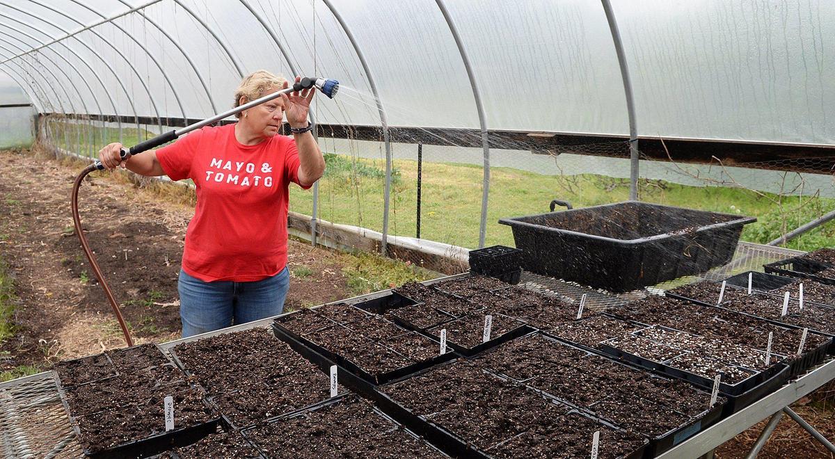 Kim Shaw, owner of Small City Farm in Charlotte, says the farm is being negatively impacted by USDA grant cuts under the Trump Administration. These cuts impact the farms ability to do business and harms programs that provide produce to food banks, local schools and more.