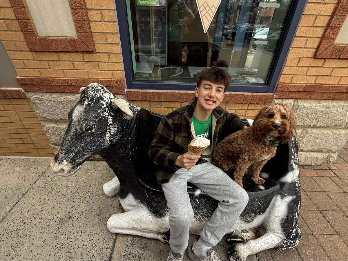 A smiling young person with short brown hair sits outside on a bench shaped like a life-sized black and white cow. They are holding a waffle cone with ice cream. A fluffy brown dog with a green collar sits on the bench next to them. The person is wearing a green and black plaid jacket over a green shirt, grey sweatpants and grey sneakers. The bench is situated on a sidewalk in front of a brick building with a glass window.