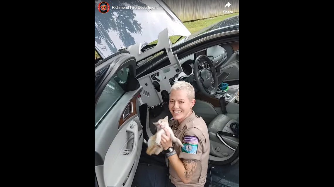 The fire department in Virginia suggested the driver name the kitten “Audi.”