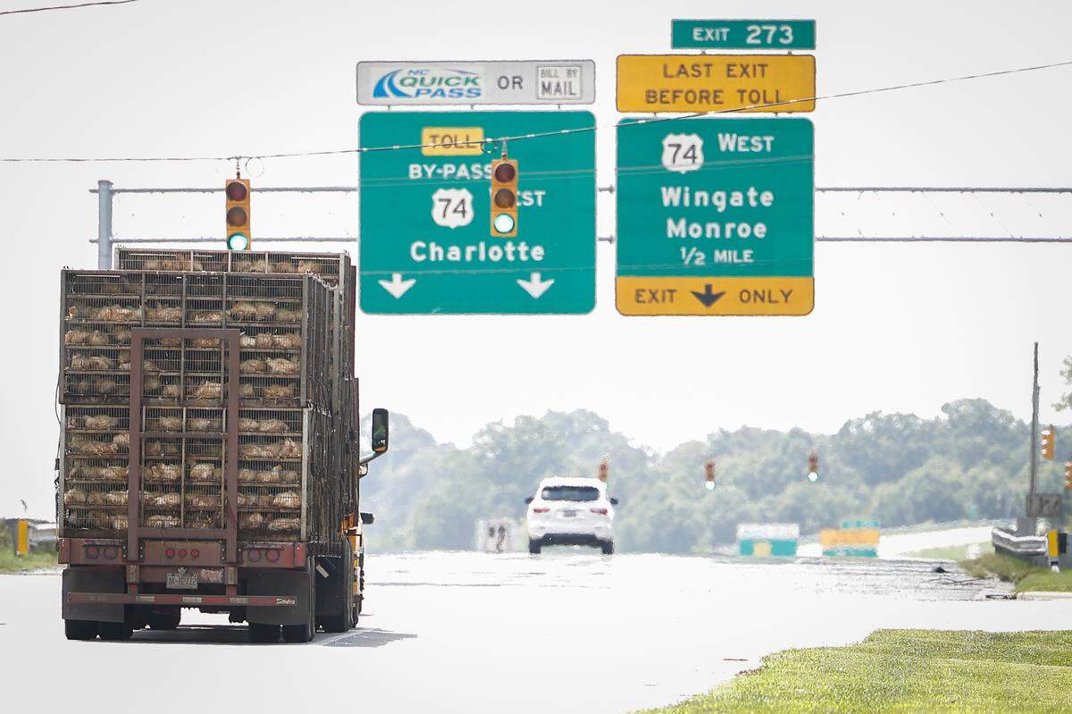 A truck carrying chickens heads down U.S. 74, bound for the Tyson Foods processing plant in Monroe.