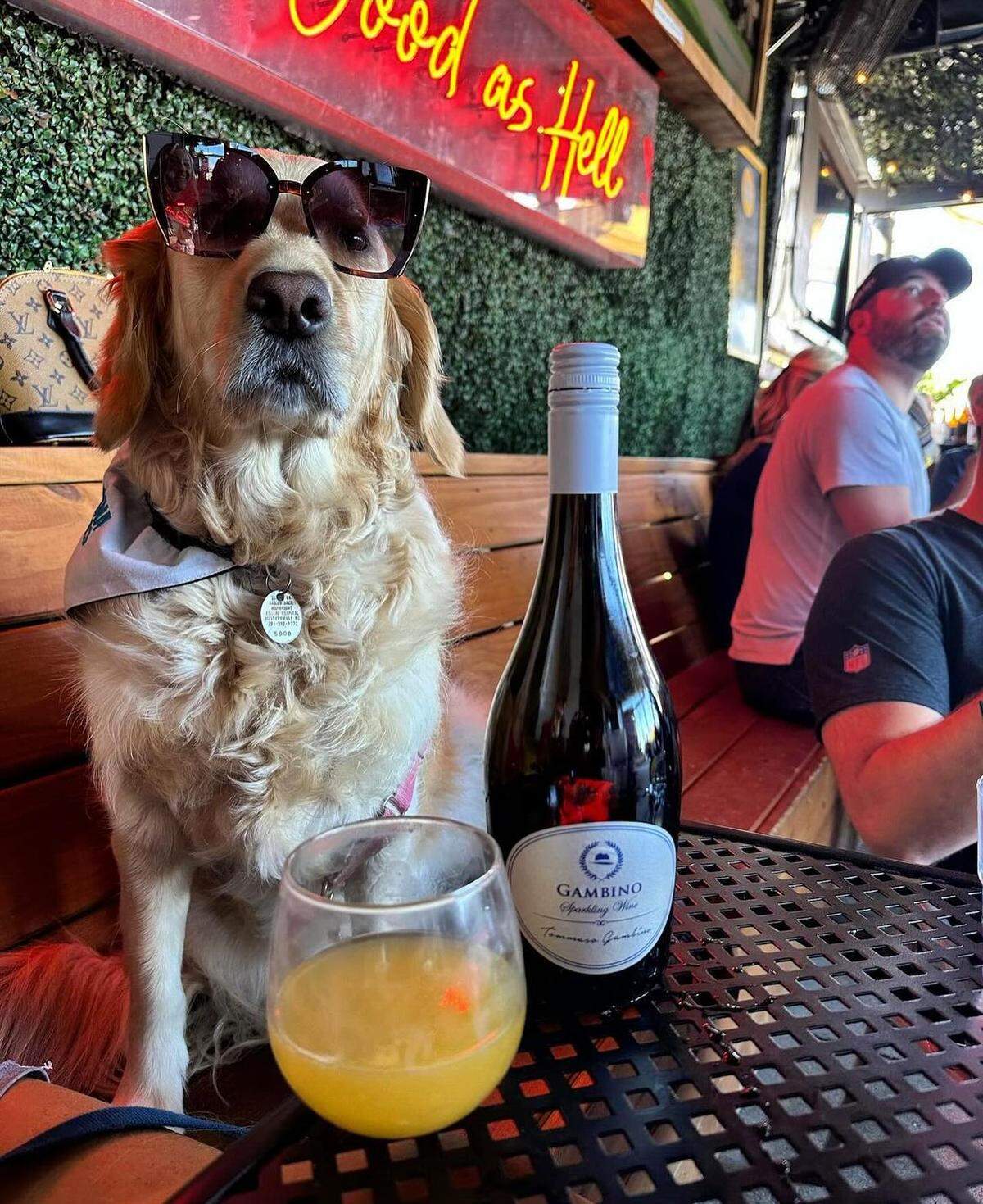 Dogs and the people who love them can come as they are to Angry Ale’s on Montford Drive.