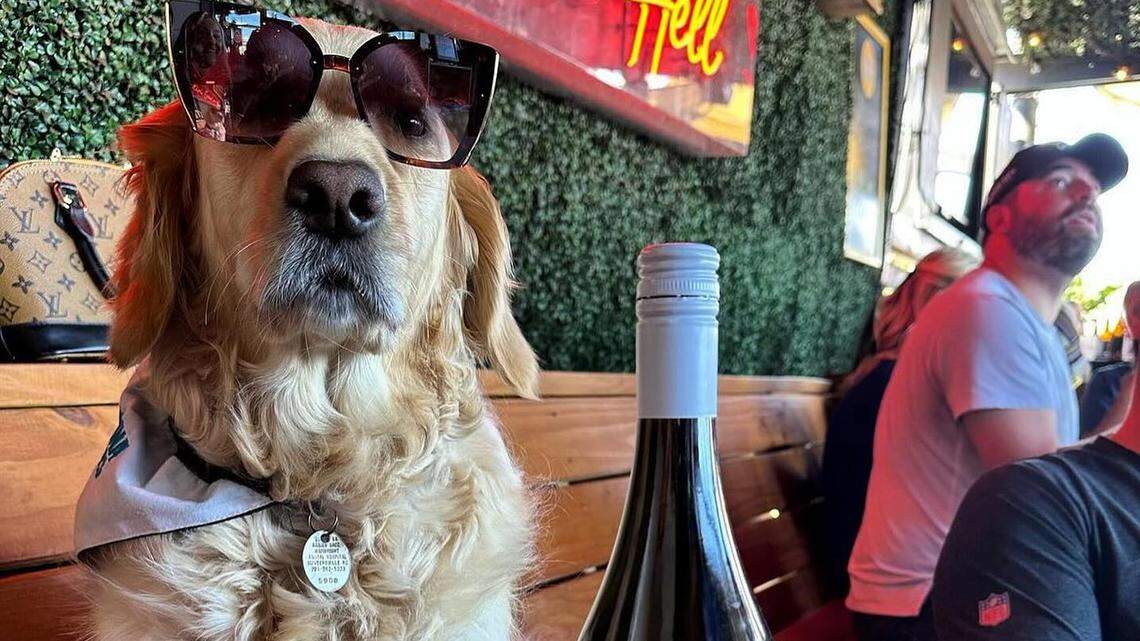 Drinking on a budget? Here are 20+ bars in Charlotte with cheap beer + cocktails