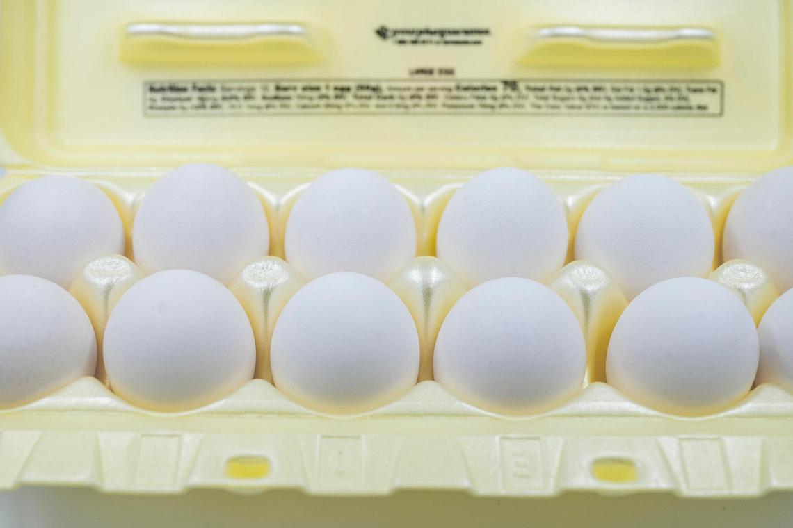 mrodriguez@charlotteobserver.com