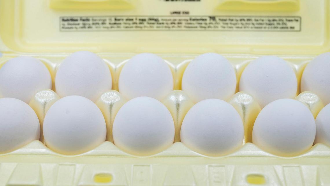 Egg prices have jumped up 128% on average comparing December 2021 to November 2022 at Charlotte’s top four grocers by market share.