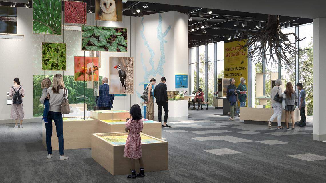 “Piedmont Explorations” will be part of Discovery Place Nature’s exhibits at the new museum.