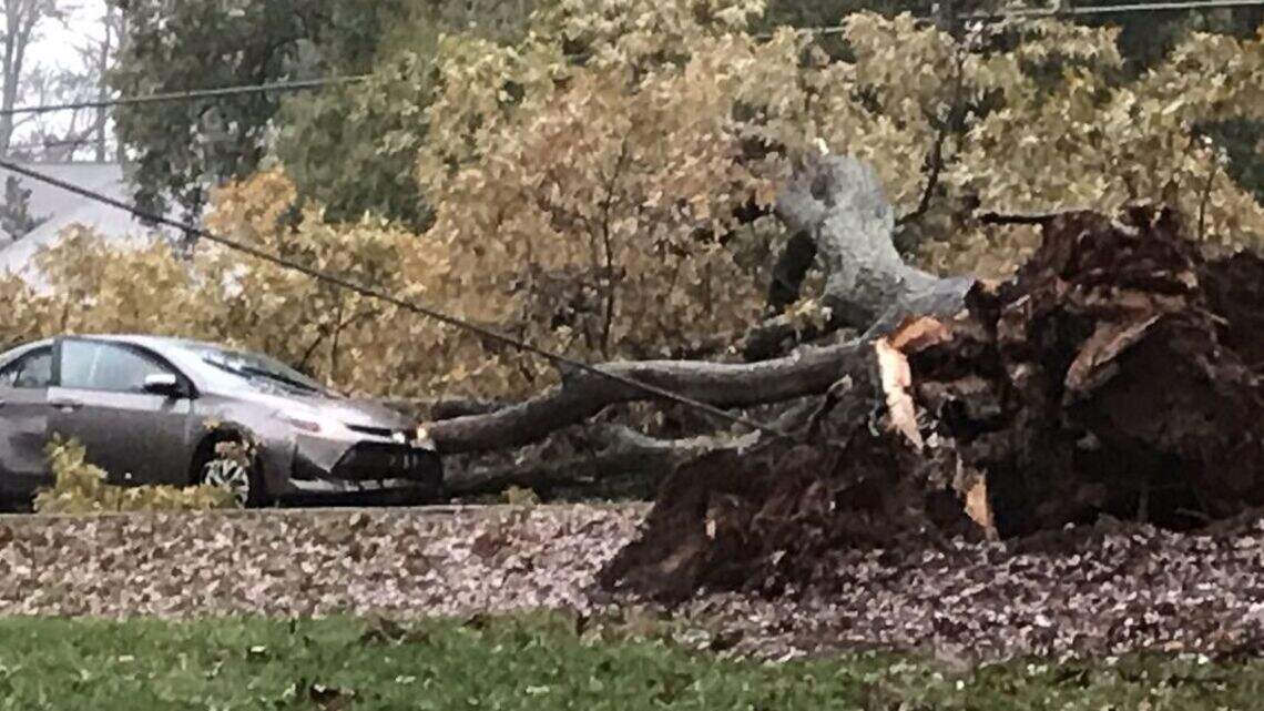 Providence Road closed at Fairview Road due to fallen tree, telephone pole