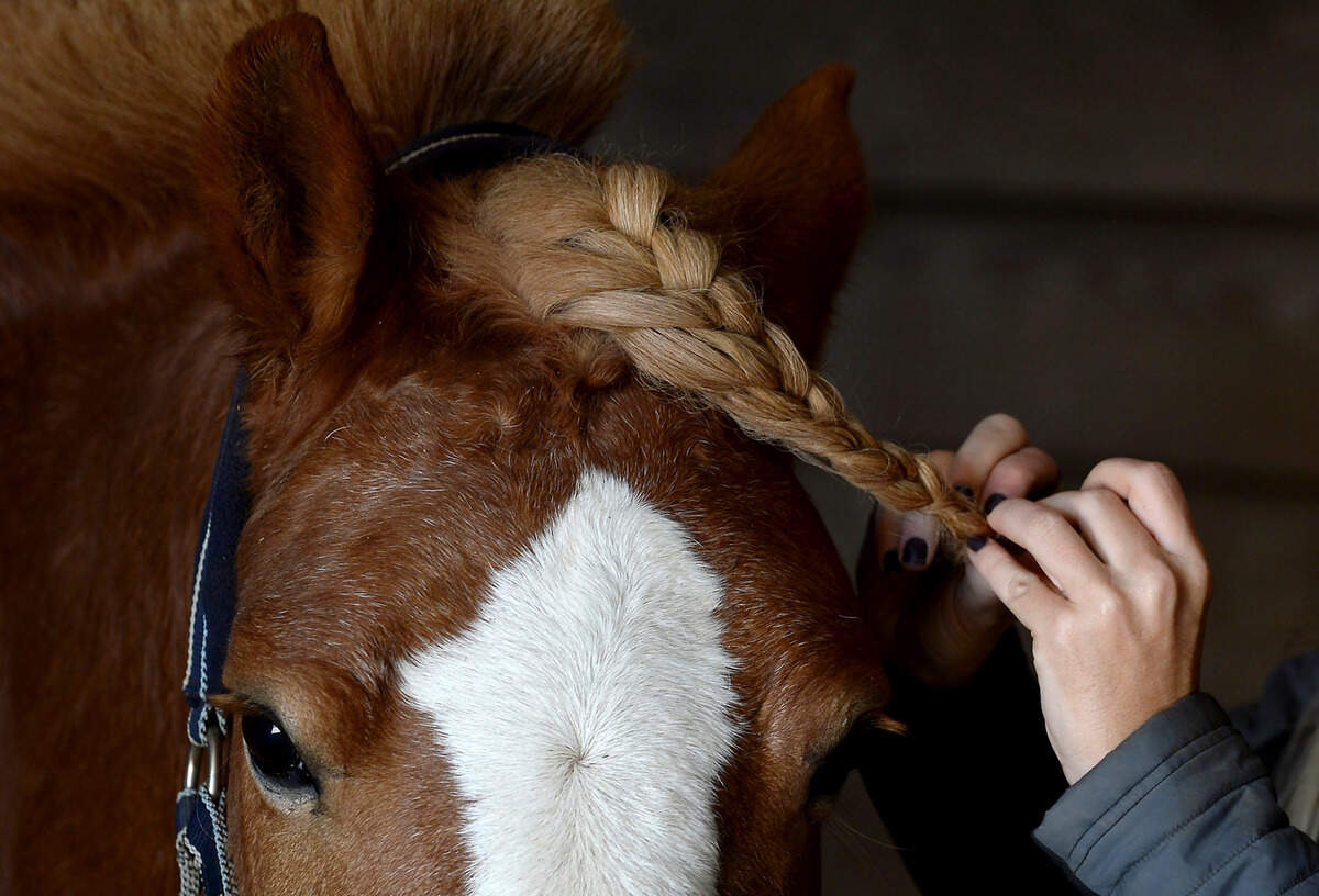 “I’ve never known a horse that has as thick of a mane as he does,” says Morgan Fogarty of her pony, Mac. “It’s insane.”