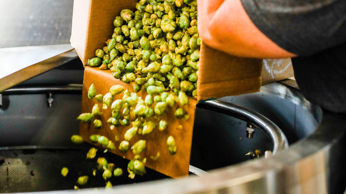 Every fall, local brewers jump through all kinds of hoops to get wet-hop beers on tap