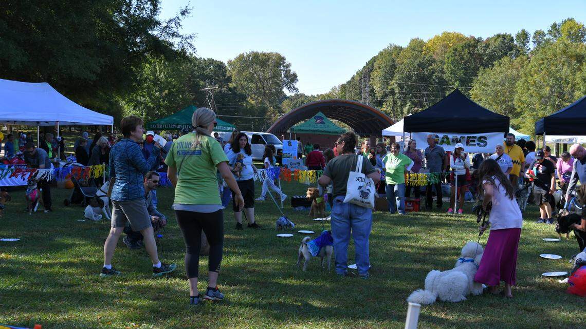 This year’s DogGone Good Time Festival will have food trucks, vendors, games and more.