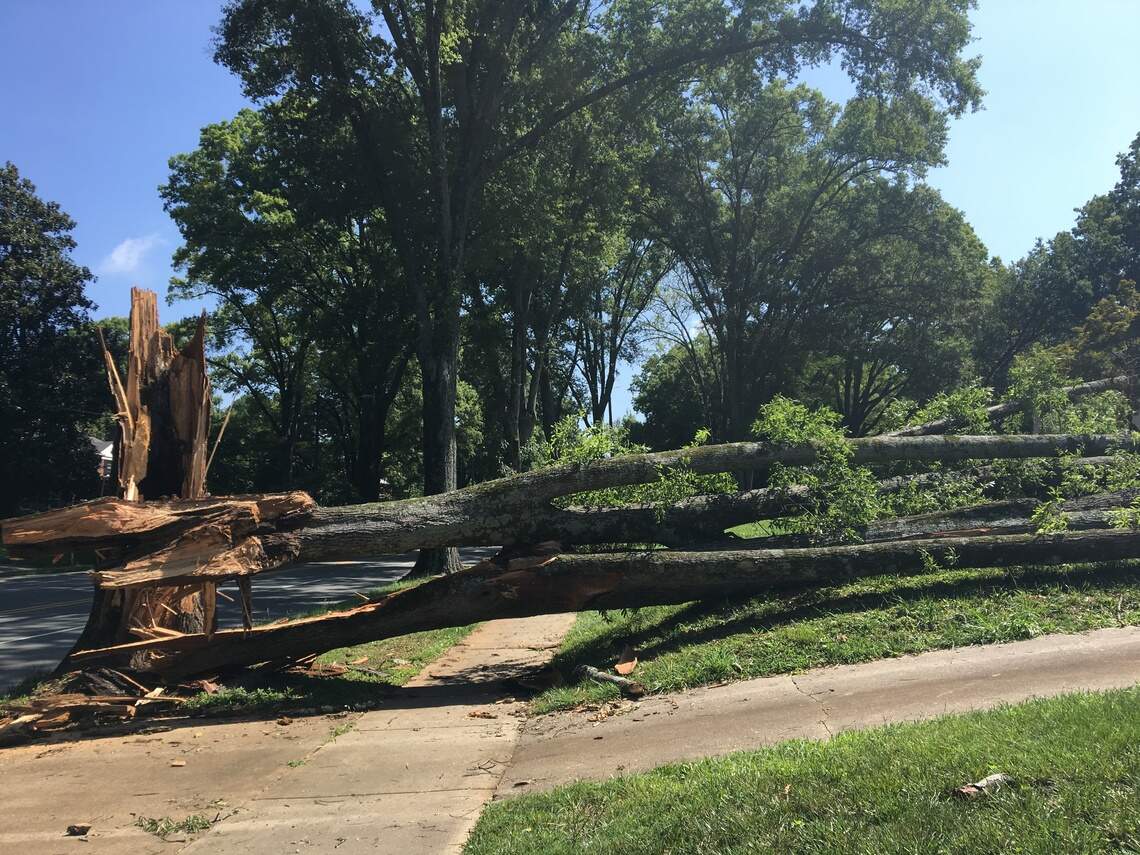Charlotte, NC thunderstorms left thousands without power | Charlotte ...