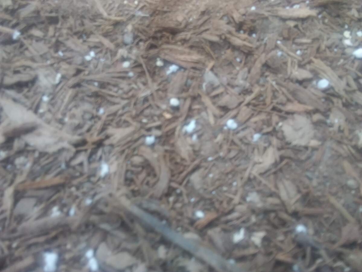Styrofoam bits were visible Tuesday, Sept. 10, 2019, on the sidewalk along Church Street near West Trade Street in uptown Charlotte.