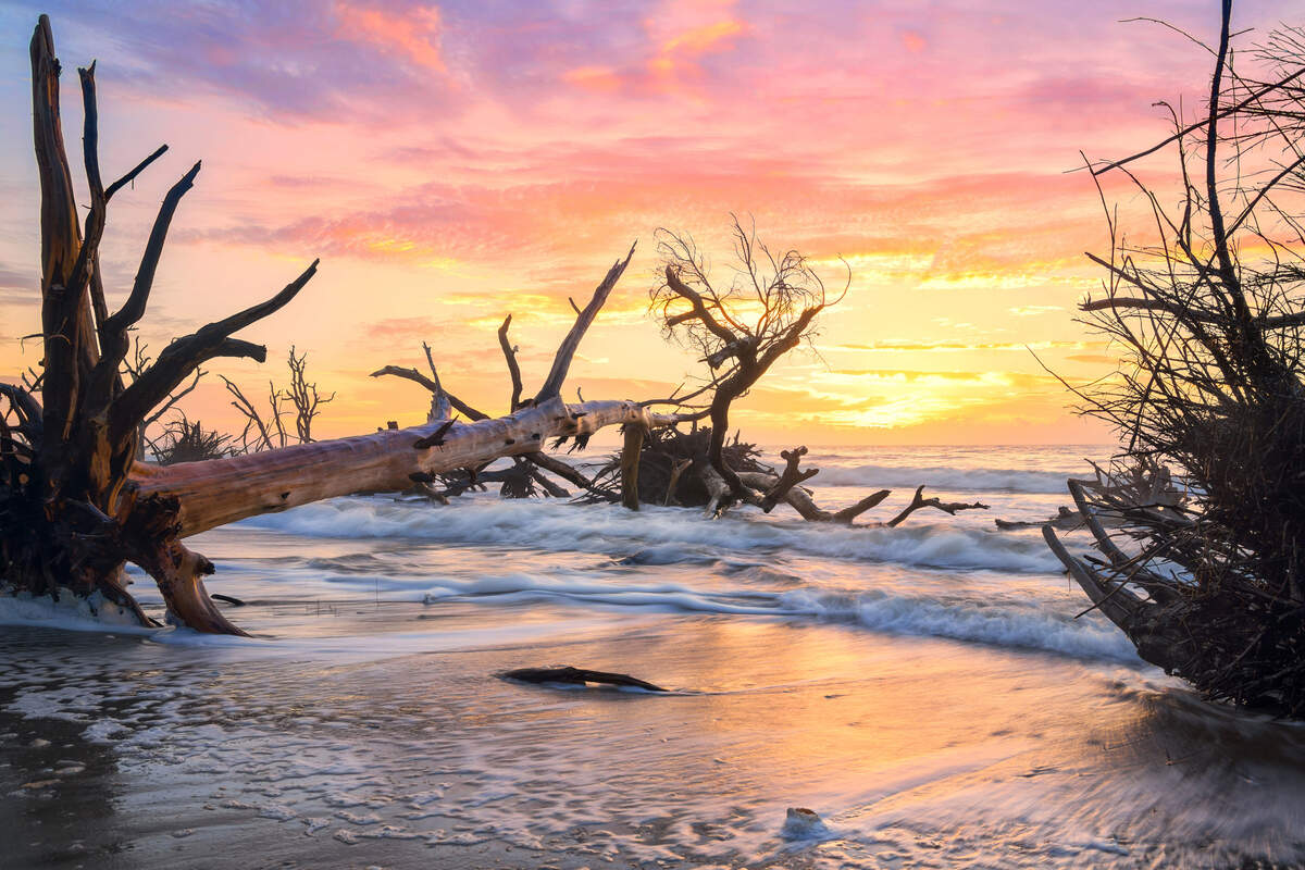 A stunning sunrise over Boneyard Beach in Edisto Island, South Carolina.