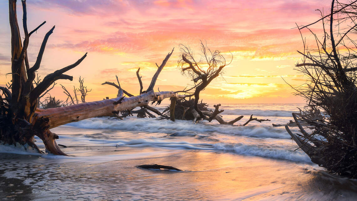 SC has 2 of 25 top trending travel destinations for Labor Day 2026, report says. Here’s why