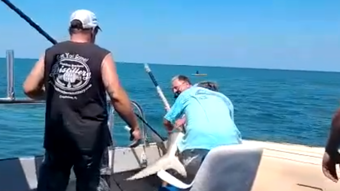 The moment Rick Caton says he was bitten by a shark off the Outer Banks this week. He needed stitches.