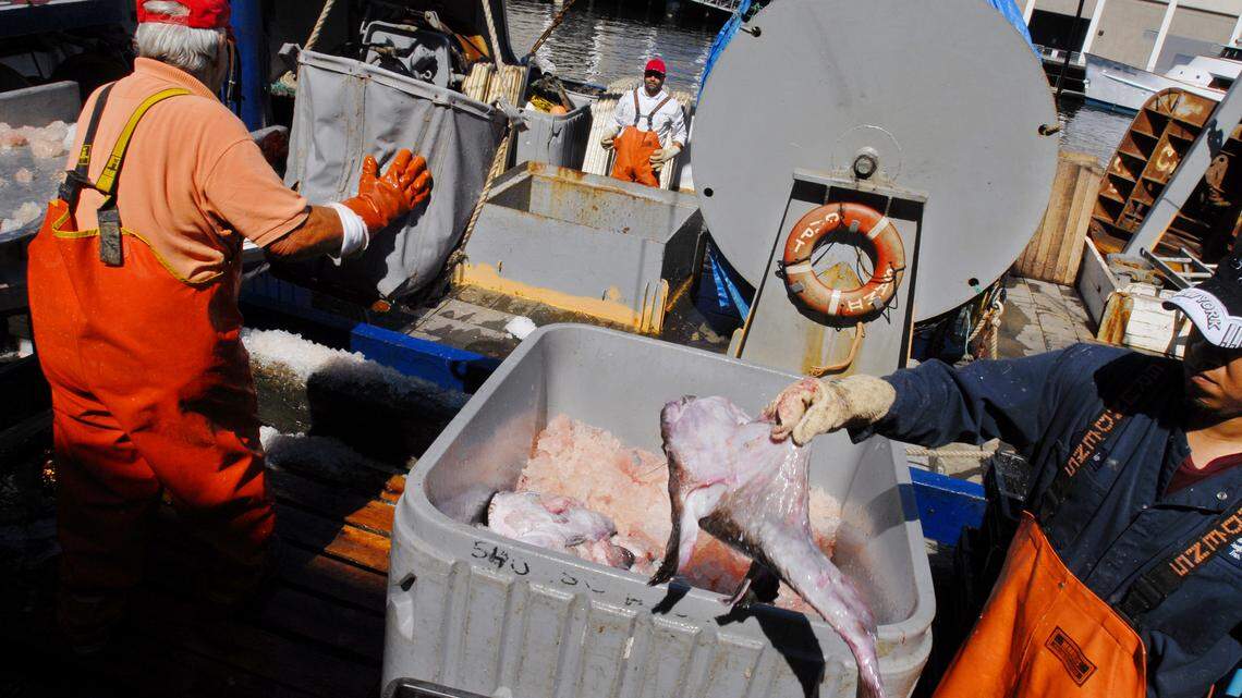 Fishermen from Bramante Seafood unload a haul of monkfish in Boston, after an eight-day fishing trip off the coast of Massachusetts. (AP Photo/William B. Plowman)