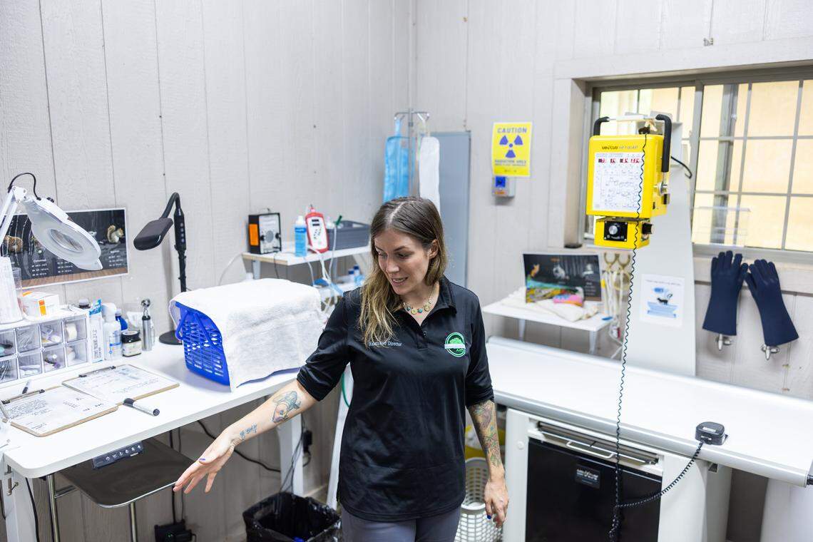 Founder and executive director, Morgan Rafael, gives a tour of the exam room where they're able to perform surgeries, take X-rays and administer other medical care for wildlife at The Carolina Wildlife Conservation Center in Iron Station, N.C., on Tuesday, August 12, 2025.