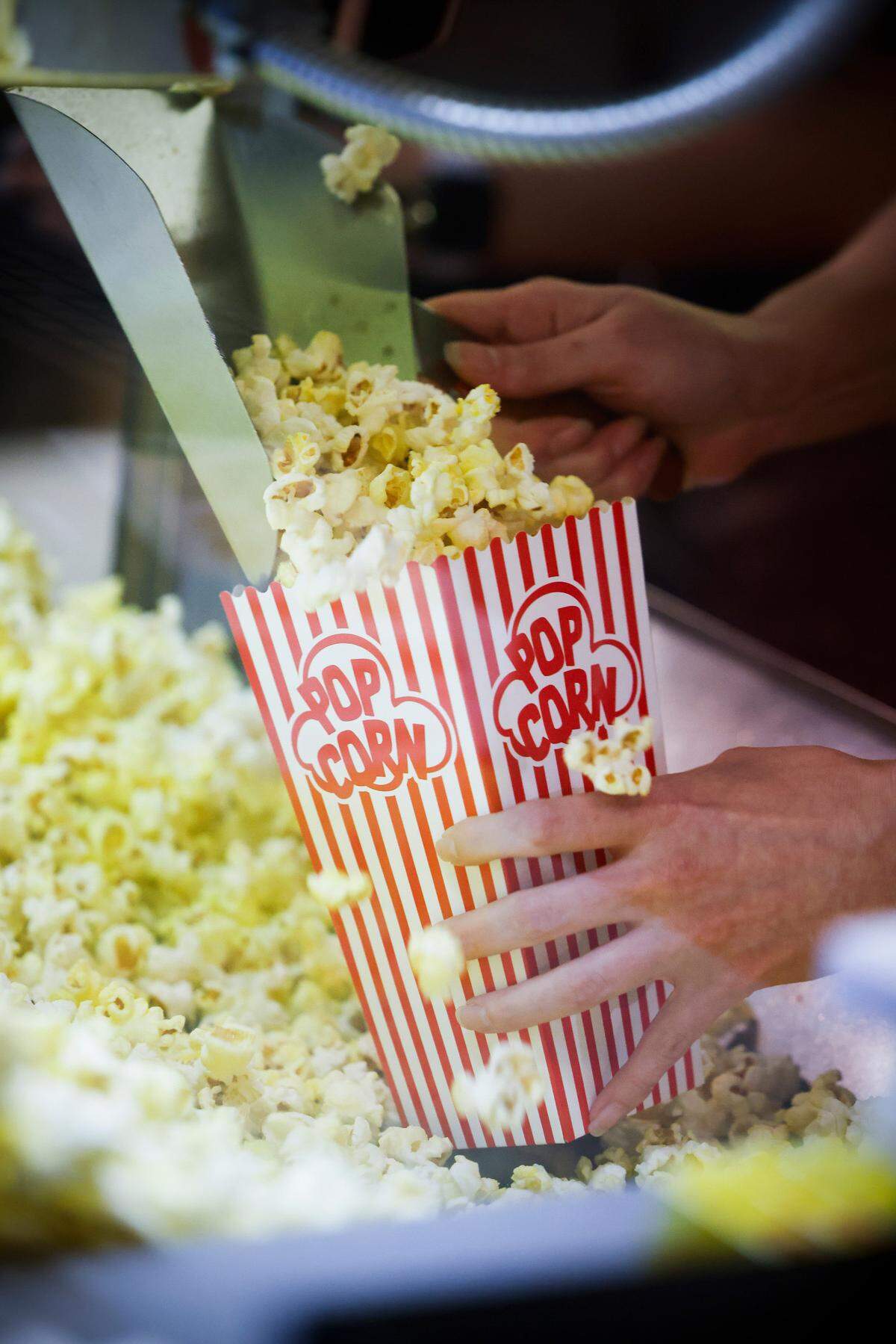 Two new film and TV projects received grants from the state to film around the Charlotte area.