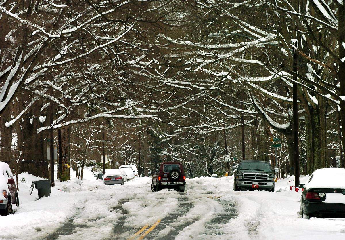 Trees arching over Morningside Drive were laced with snow early on Feb. 27, 2004, as Charlotte residents started to dig out. 