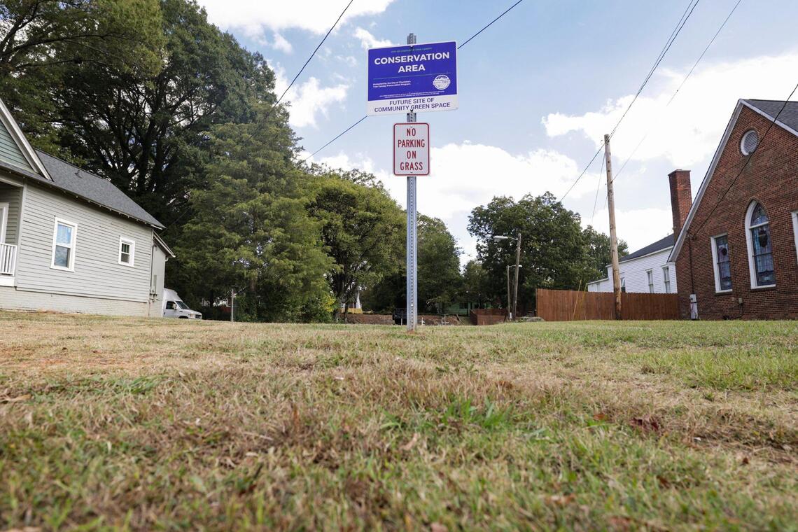 Charlotte NC tree-saving program lags at preserving trees | Charlotte ...