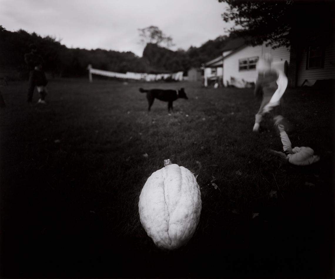Sally Mann (American, 1951–). The 42lb Squash, 1989, gelatin silver print, 3/5.