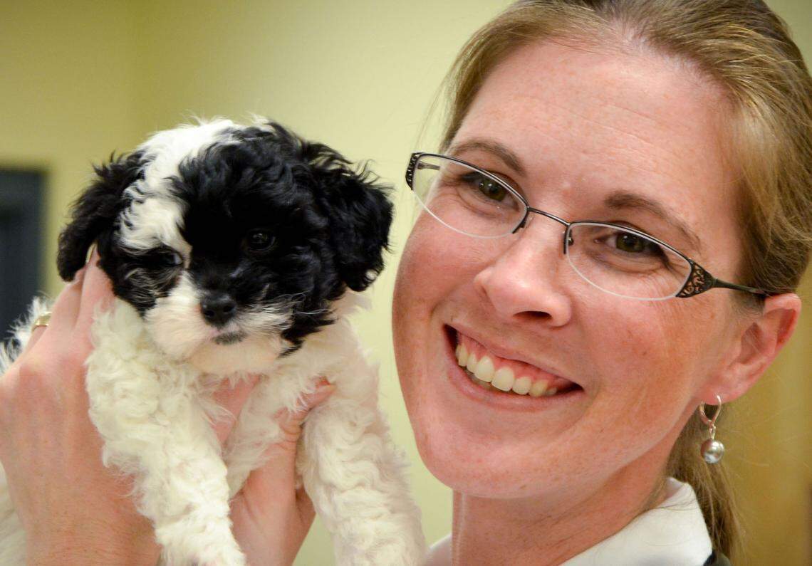 Veterinarian Cierra Tabony said monitoring your pet for signs of arthritis is particularly important during the winter months.